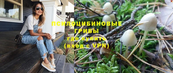 гашик Аркадак