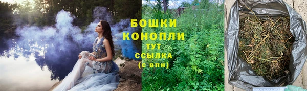 спиды Арсеньев