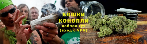 спиды Арсеньев
