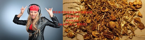 гашик Аркадак
