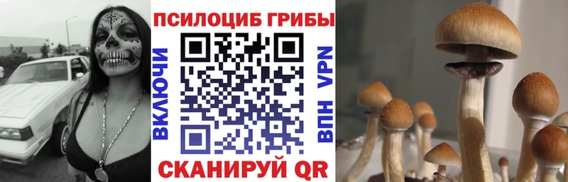 Галлюциногенные грибы MAGIC MUSHROOMS  Феодосия 